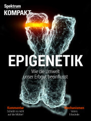 epigenetik